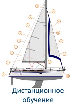 Дистанционное обучение
